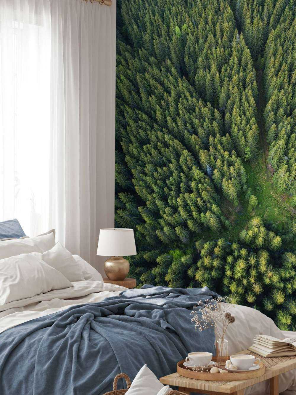 Pine forest from above