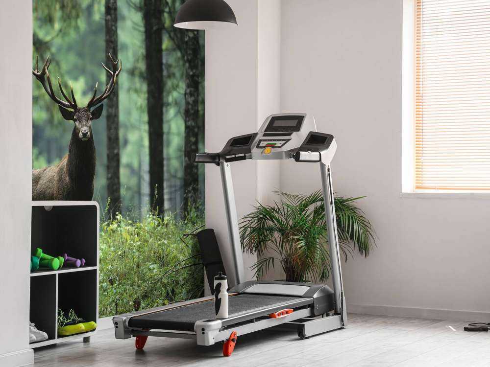 Big deer between trees