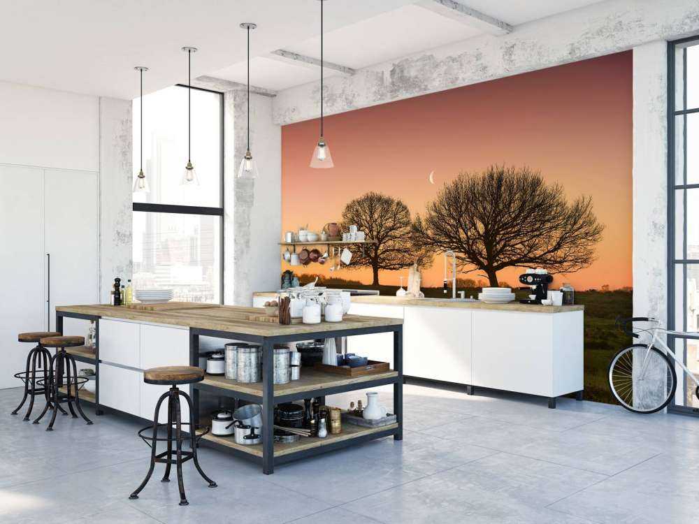 Moon between the trees