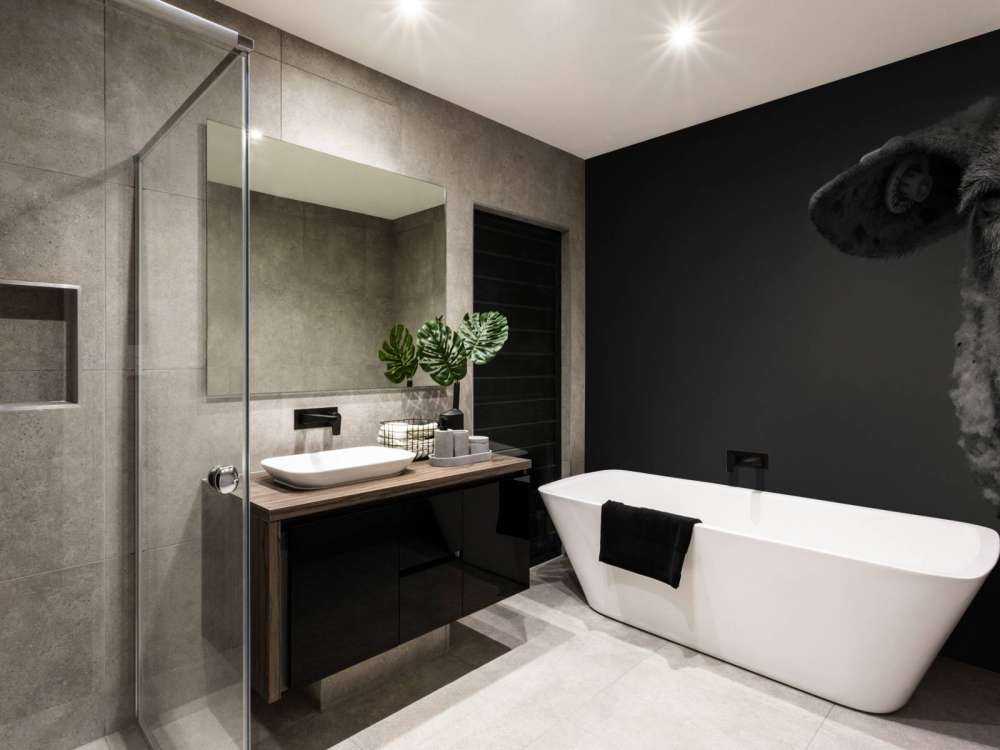 Close-up sheep black and white