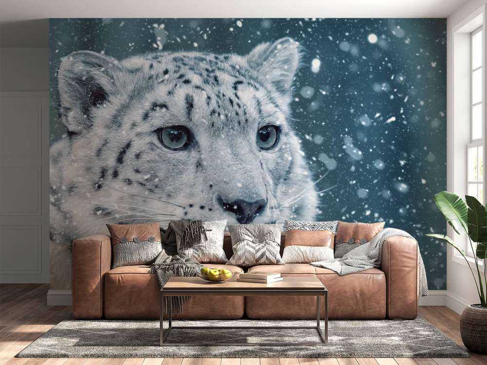 Snow leopard