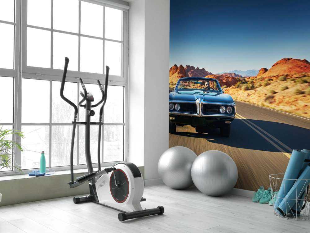 Muscle car in an American landscape