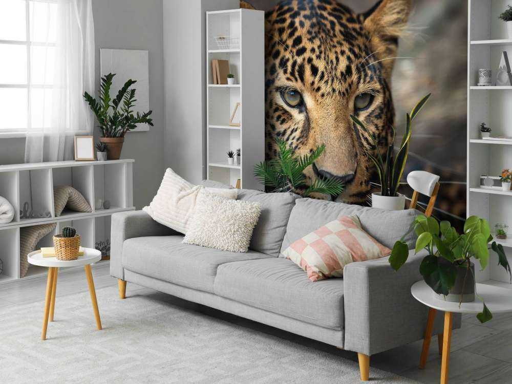 Close, up of a leopard