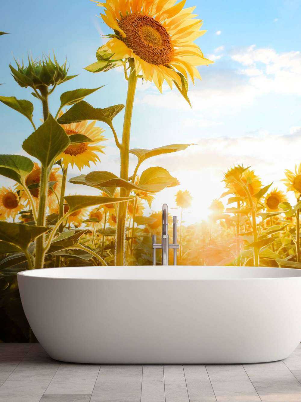 Sunflower with blue sky