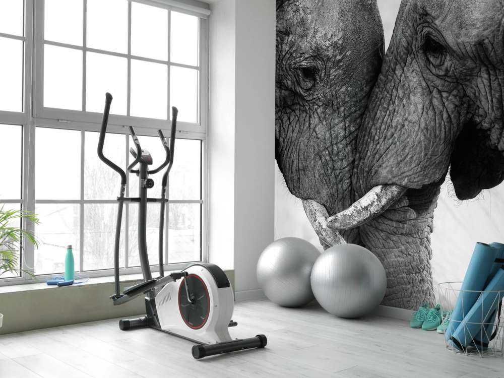 Photo wallpaper elephants