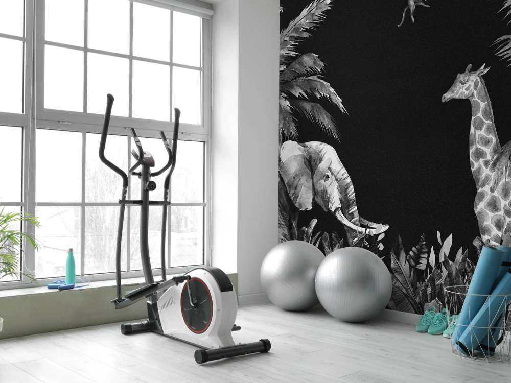 Black and white jungle animals