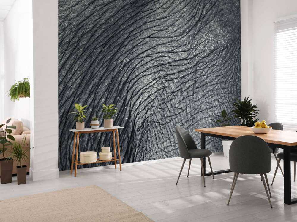 Close-up elephant skin