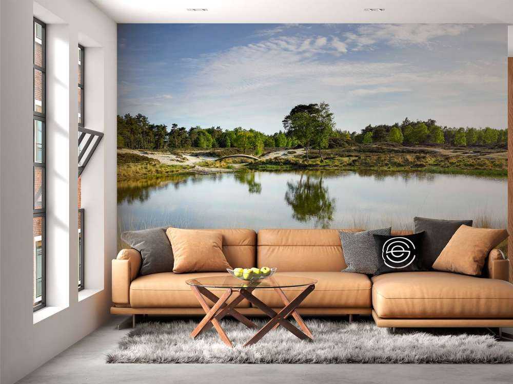 A small forest lake in the heathland area