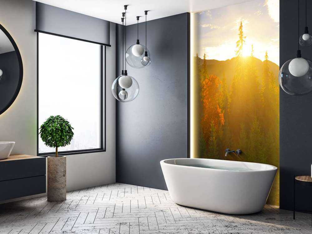 Pine forest panorama