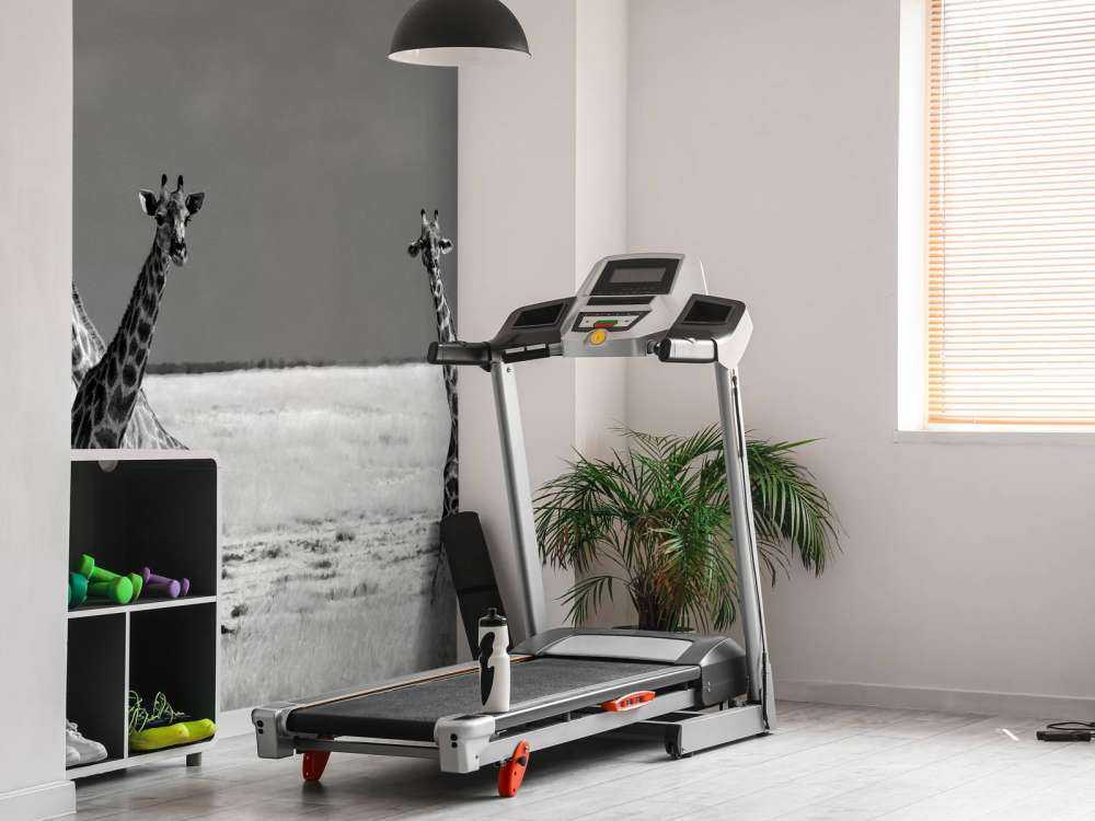 Look Girl Strange Animals