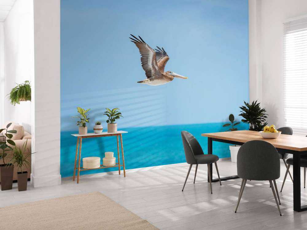 Flying pelican