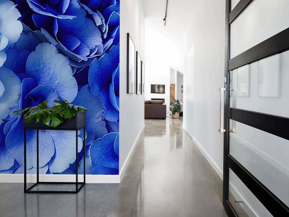 Close-up of blue hydrangeas