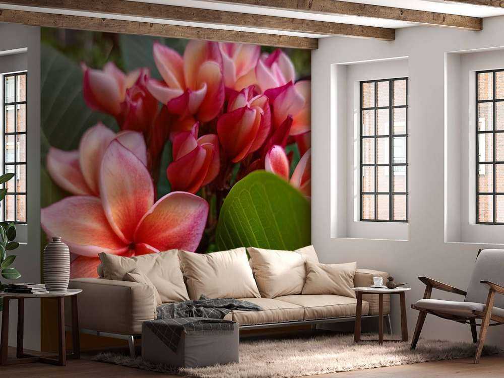 Tropical Flowers