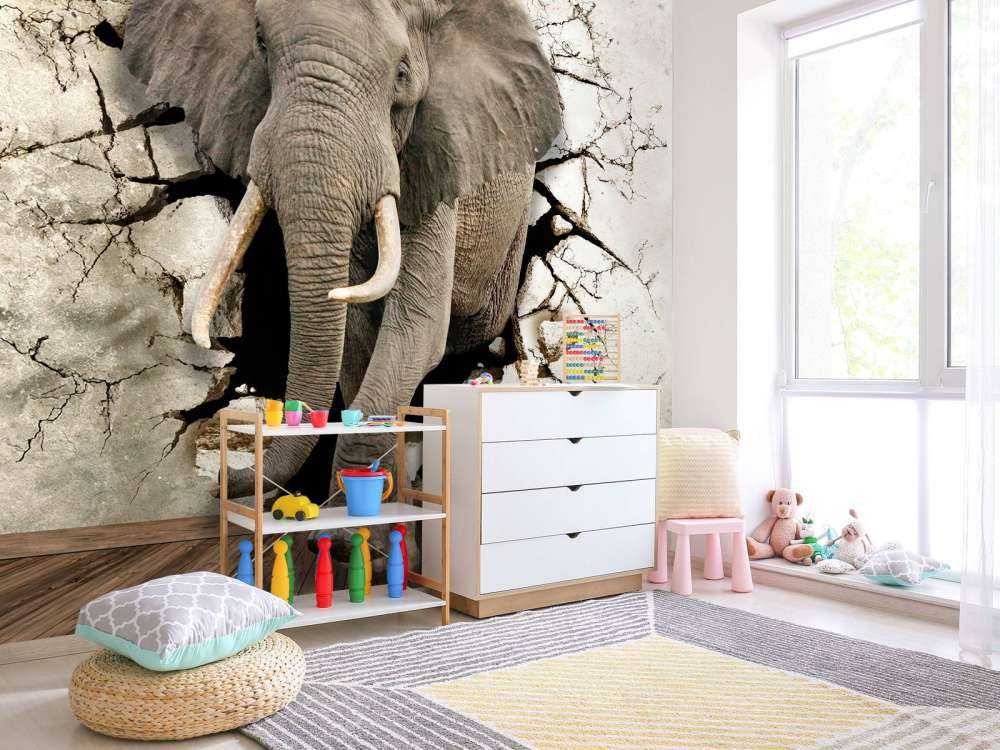 Big elephant out of the wall