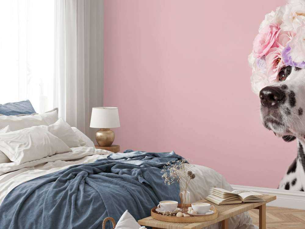 Dalmatian with colored flowers