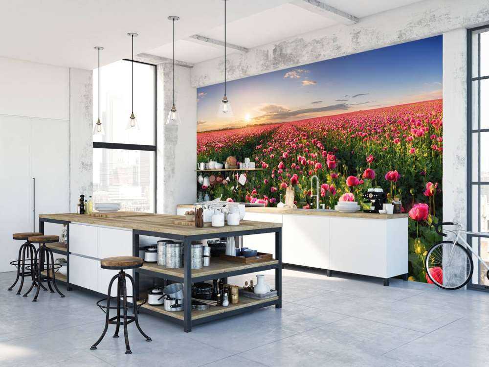 Pink poppies field