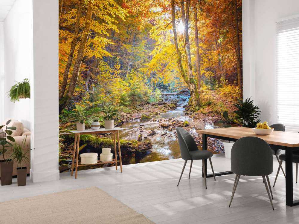 Autumn in wild forest