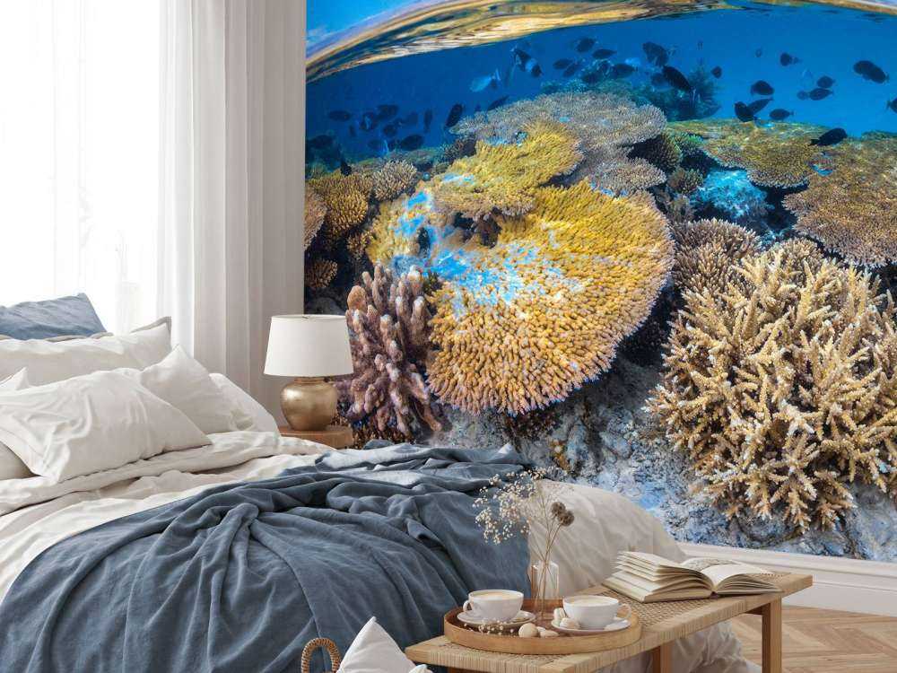 At the edge of the S-shaped pass