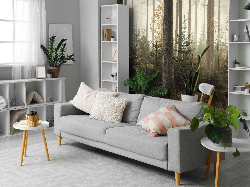 The Kaufunger forest