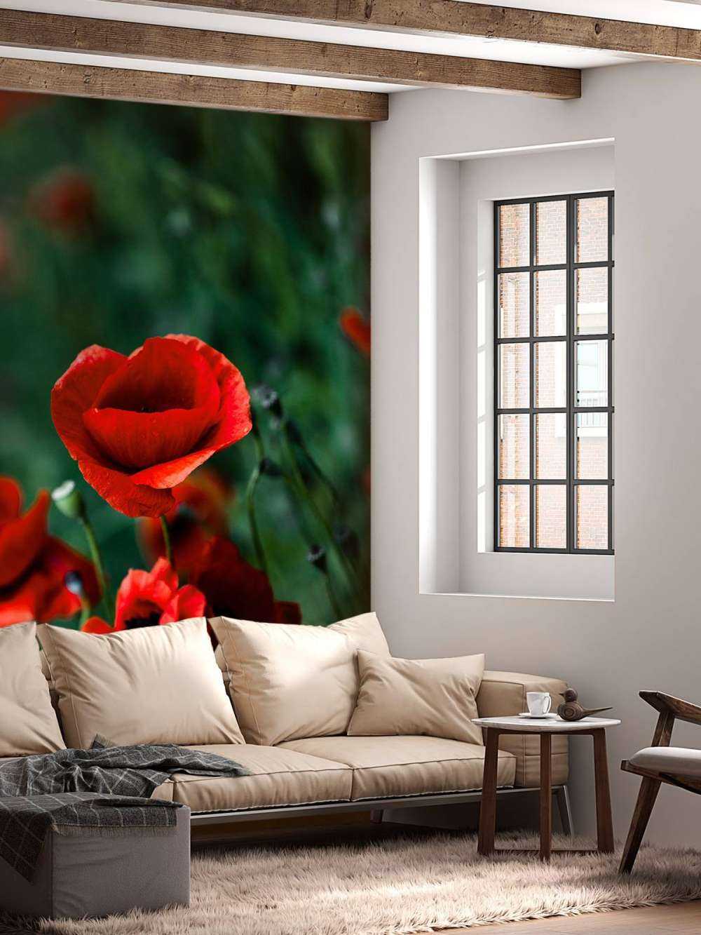 Poppies and grass