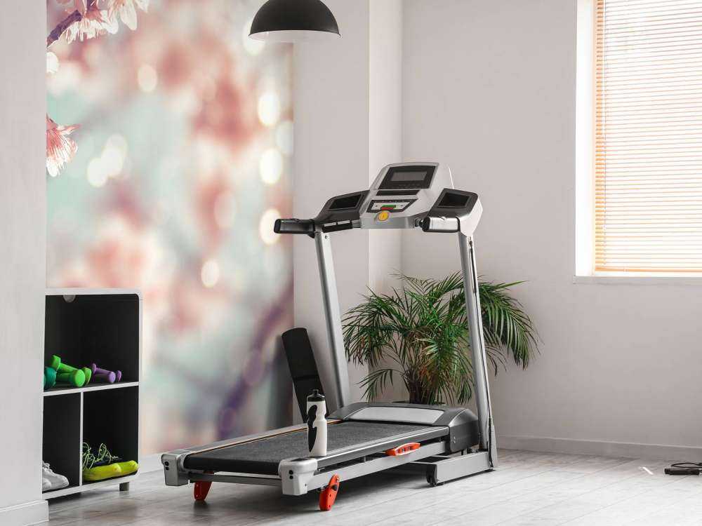 Close-up blossom branch