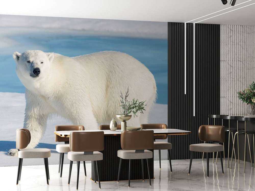 Polar bear