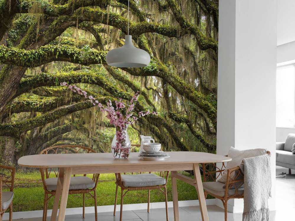 Oak trees