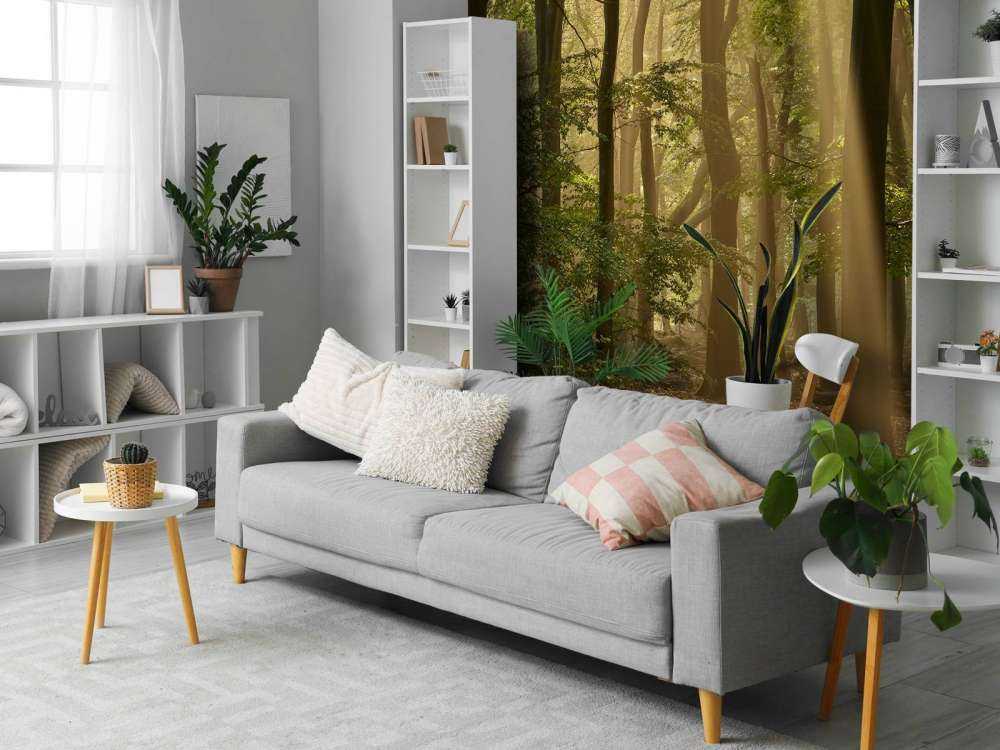 Old forest with sunharps