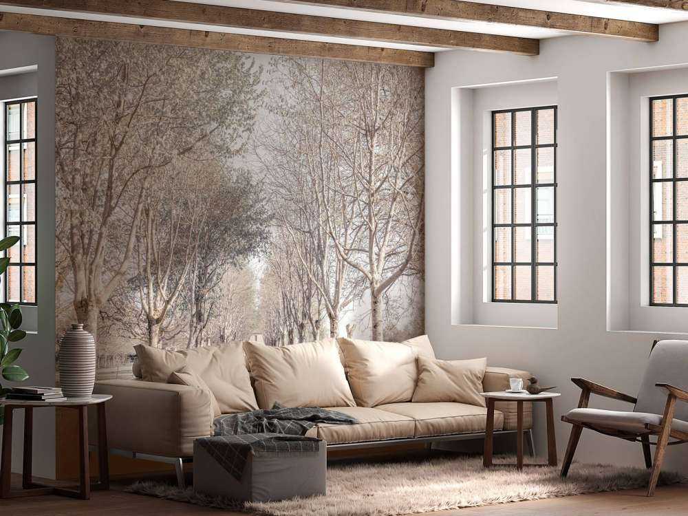 Path between the trees