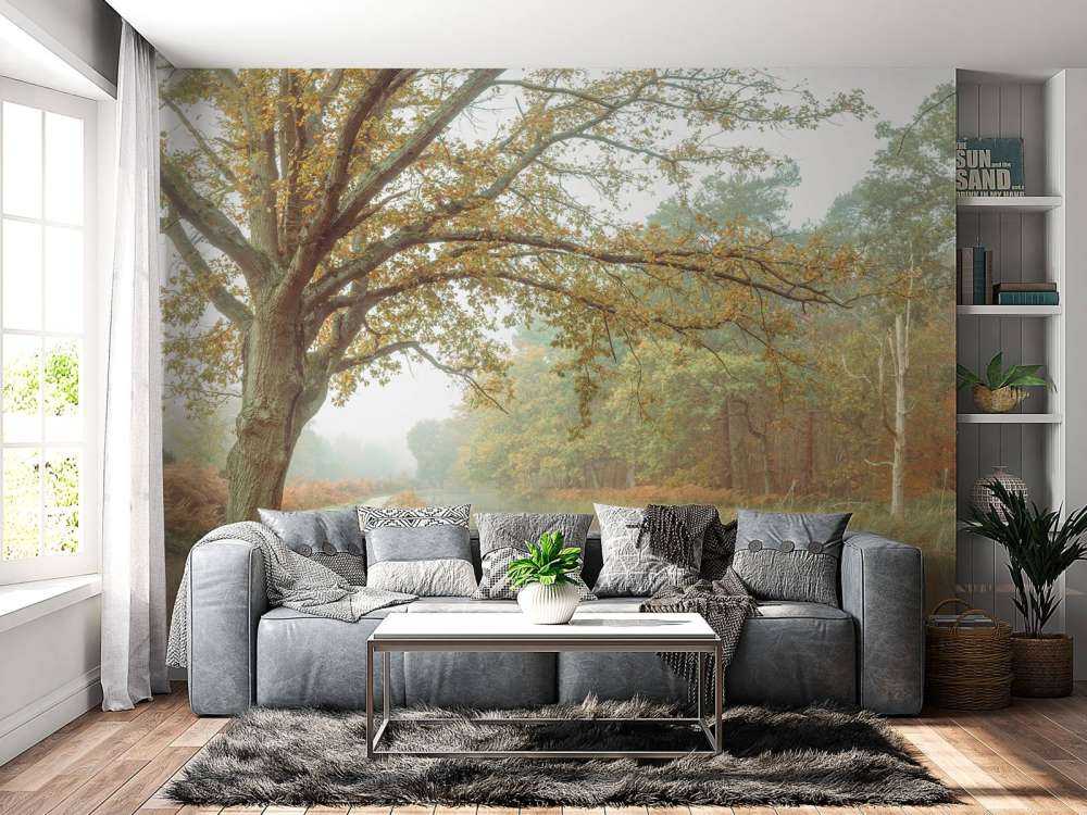 Lake in autumn forest