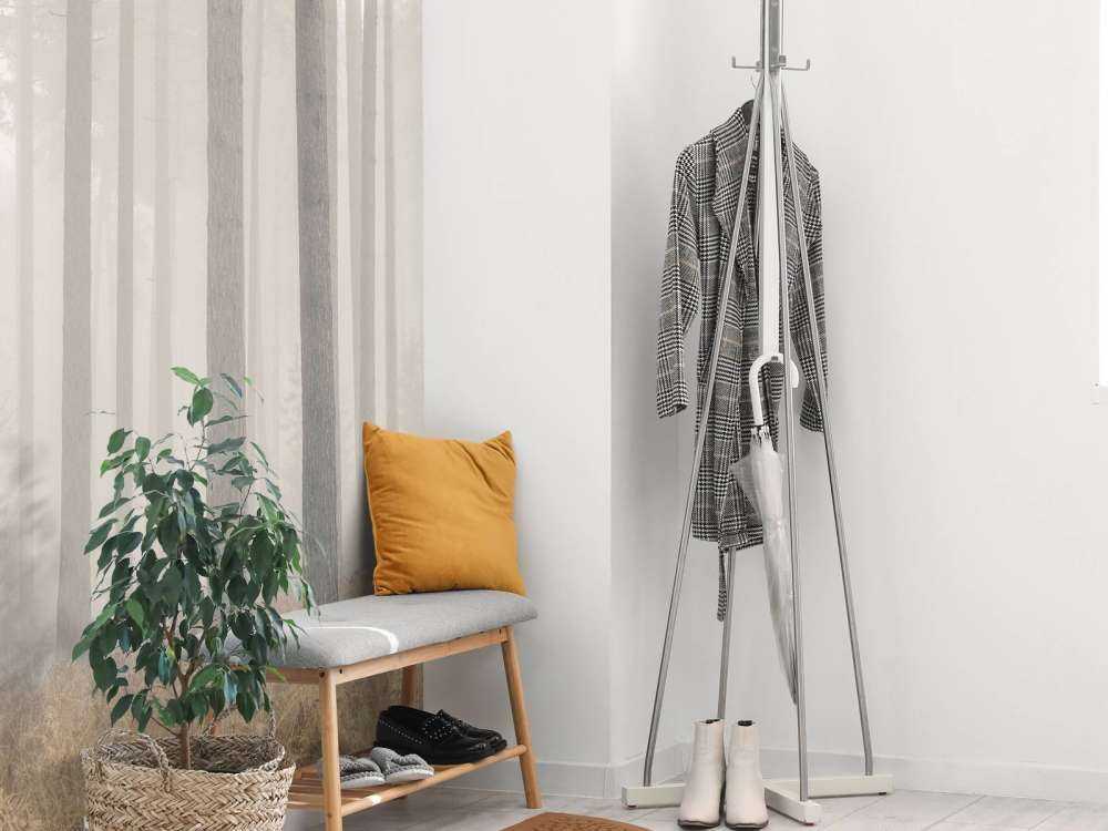 Misty mysterious forest