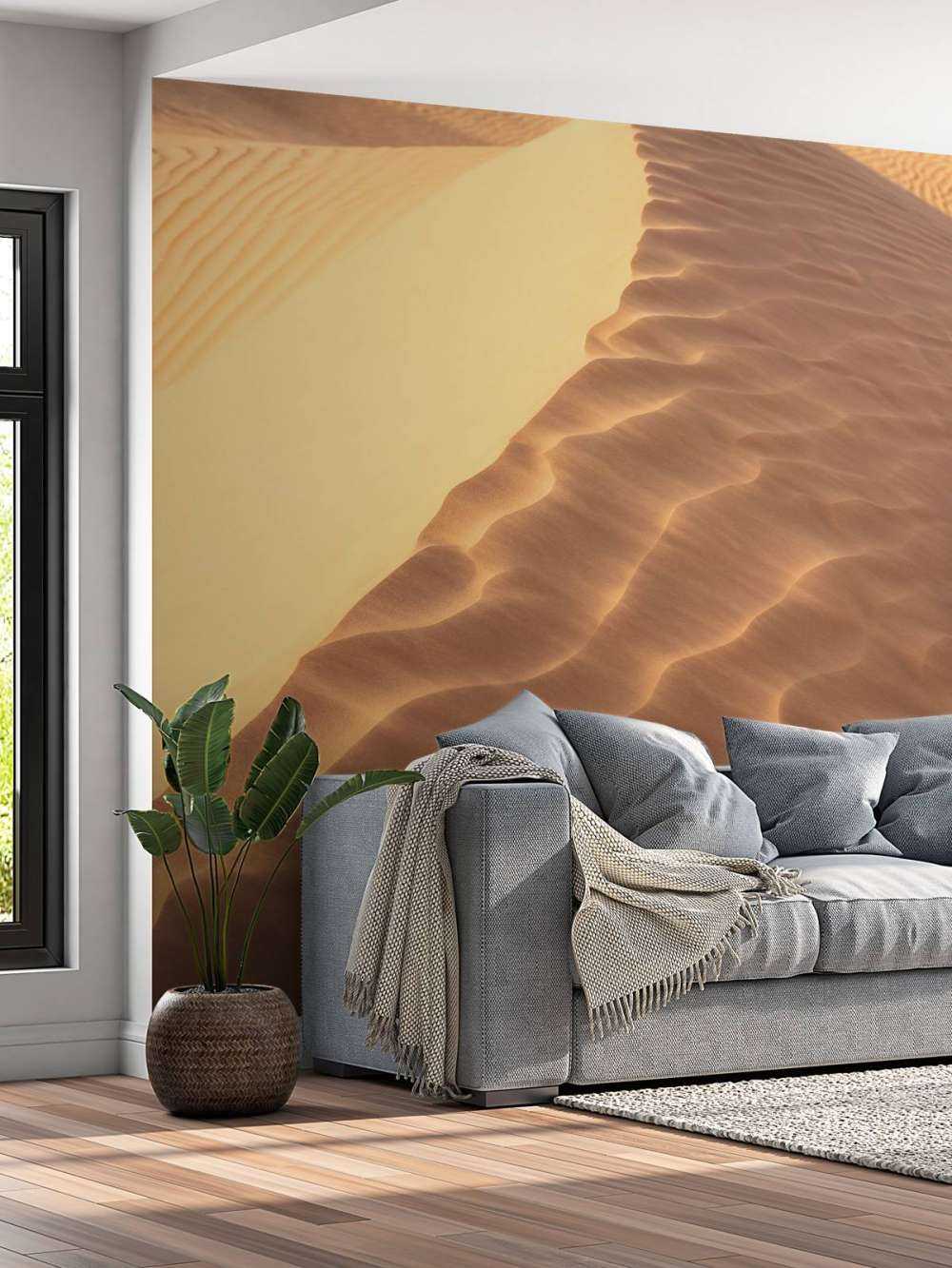 Sand dunes from above