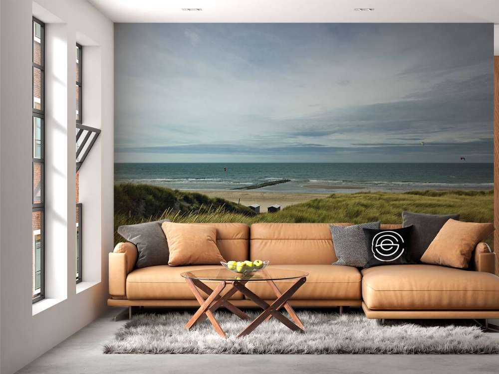 Beach from the dunes