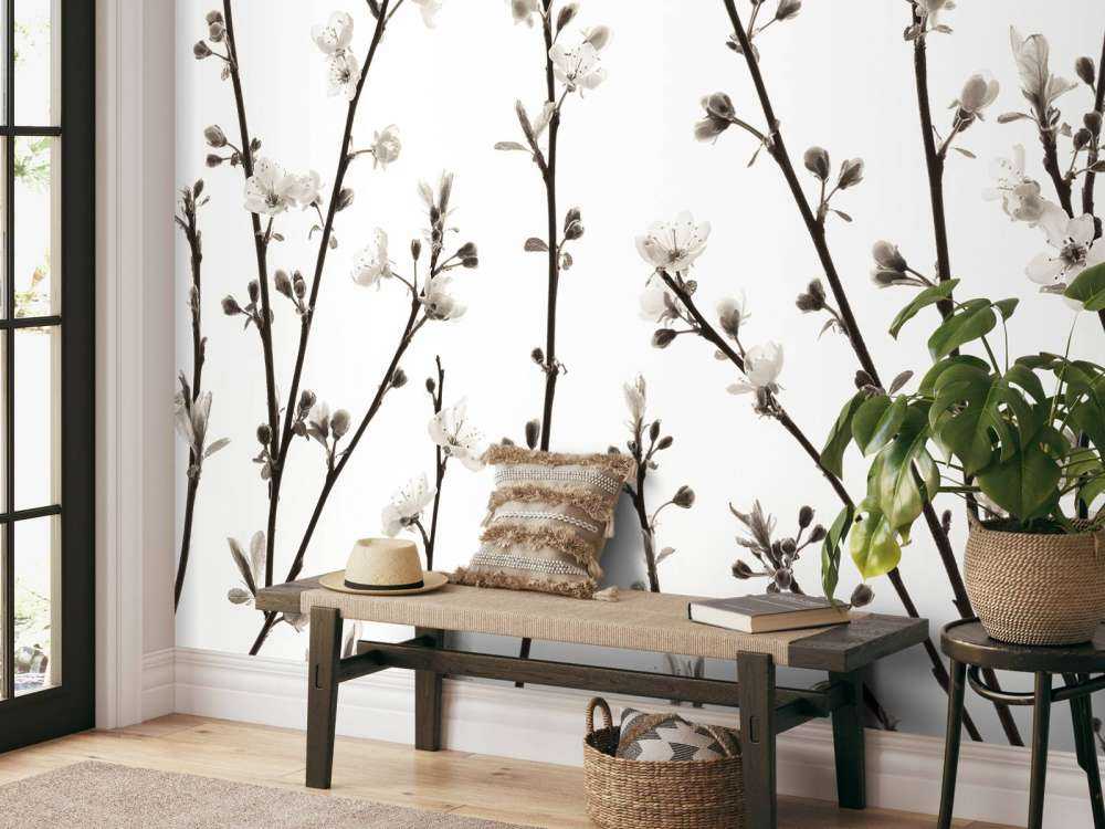 Cherry blossom branches