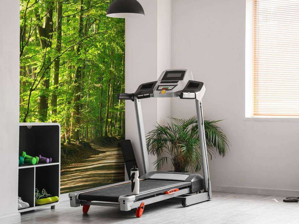 Sunny road through a forest