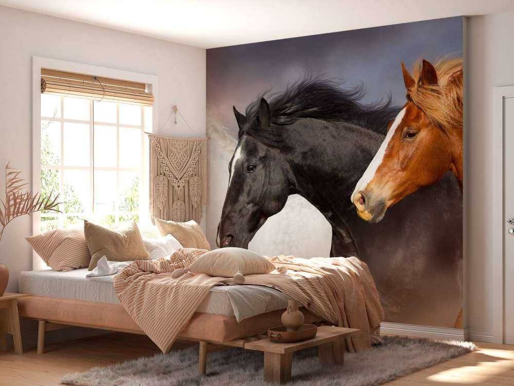 Herd of horses