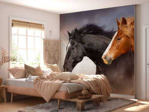 Herd of horses