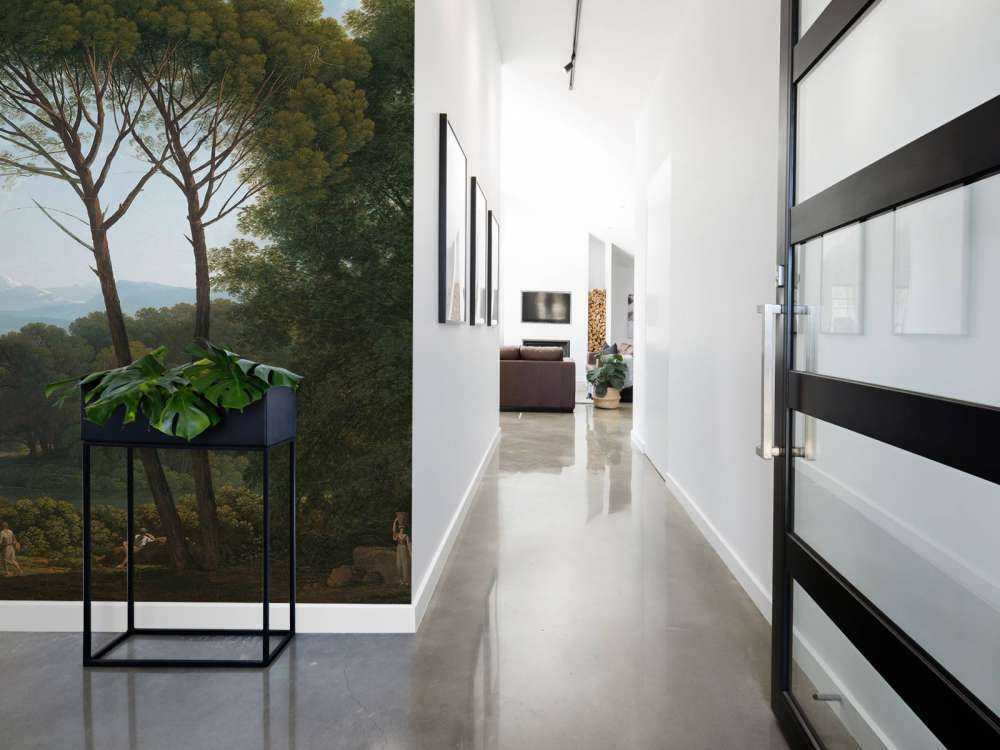 Italian landscape with pine trees