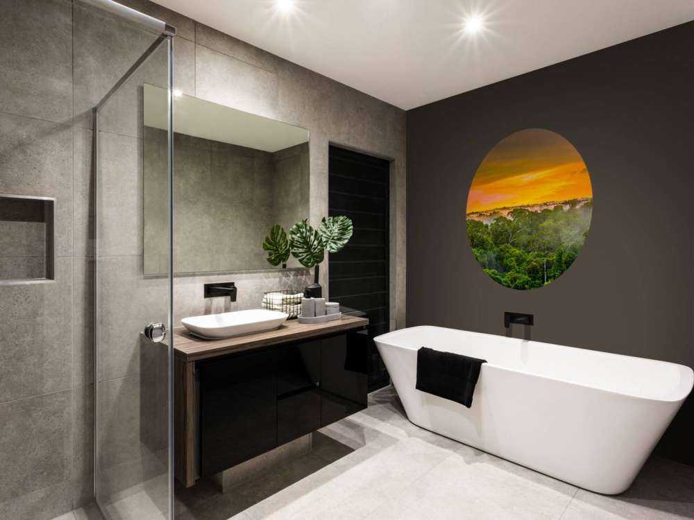 Rainforest in Brazil 