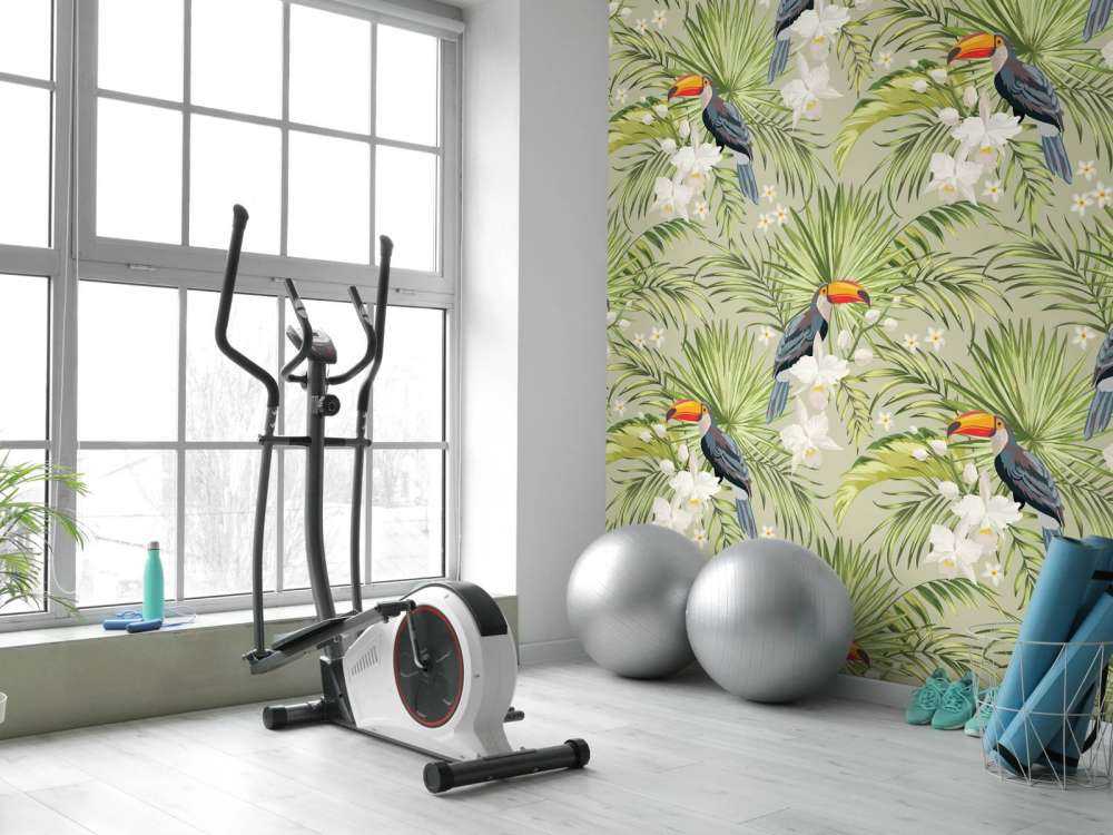 Toucan in the jungle