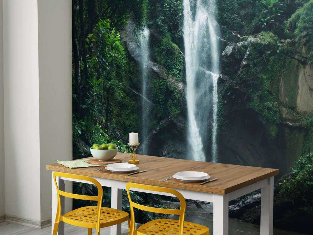 Waterfall in the nature