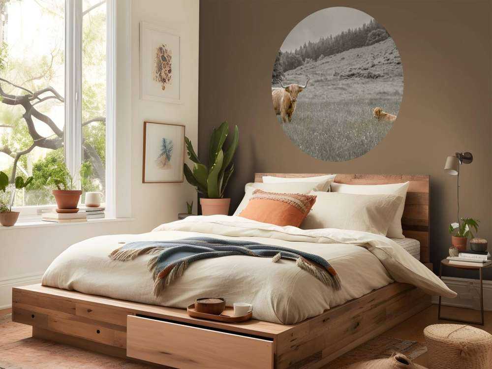 Scottish Highlander with calf