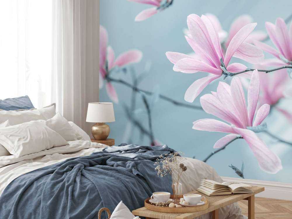 Magnolia flowers