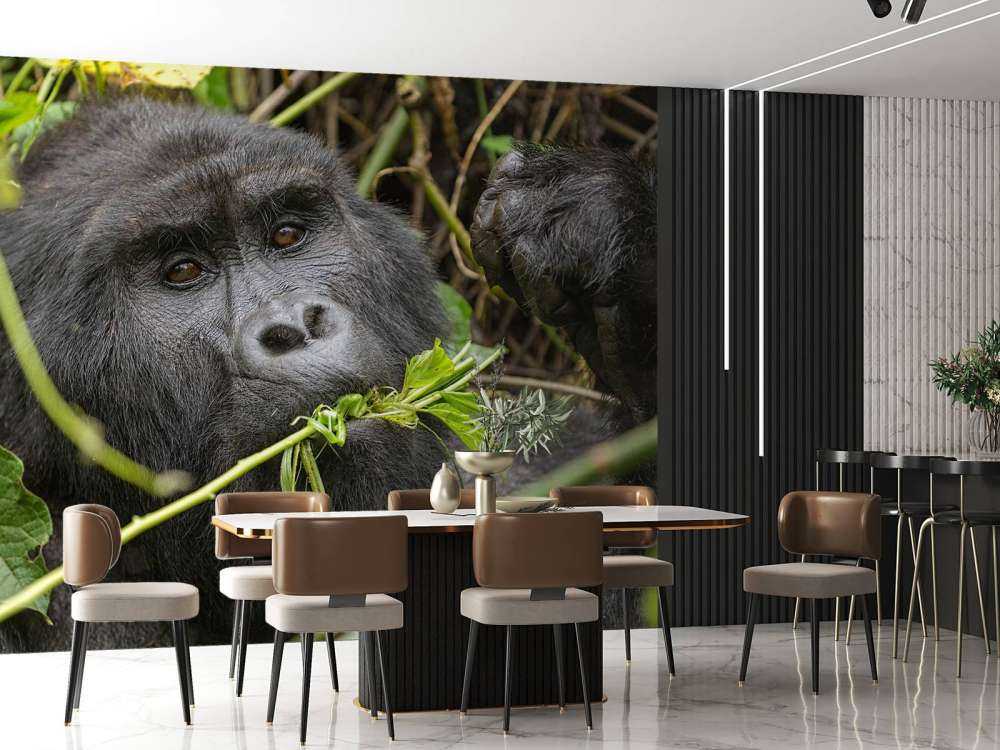 Gorilla between the branches