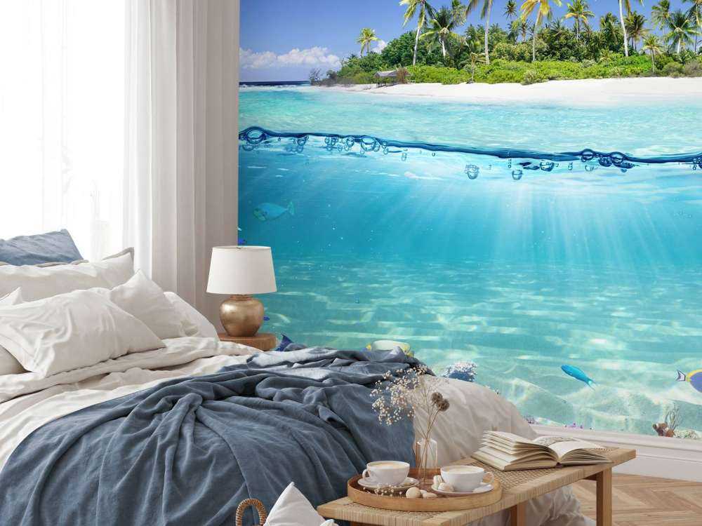 Tropical island and coral reef