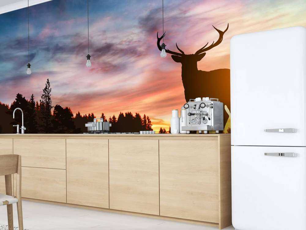 Deer with sunset
