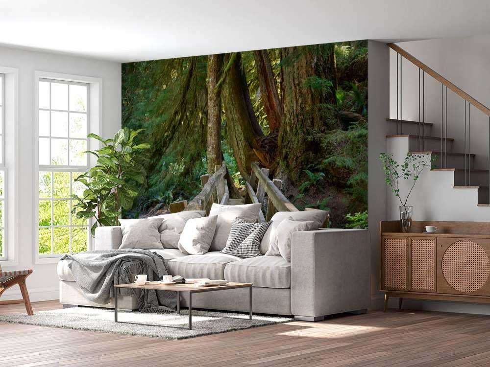 Wooden bridge through the forest 