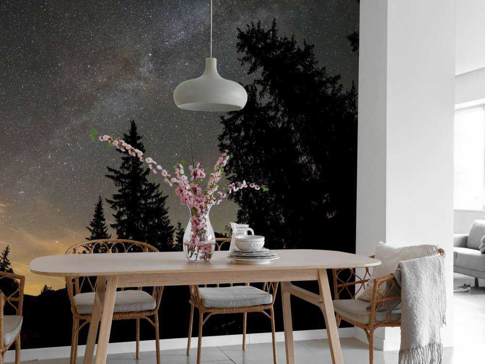 Sky full of stars