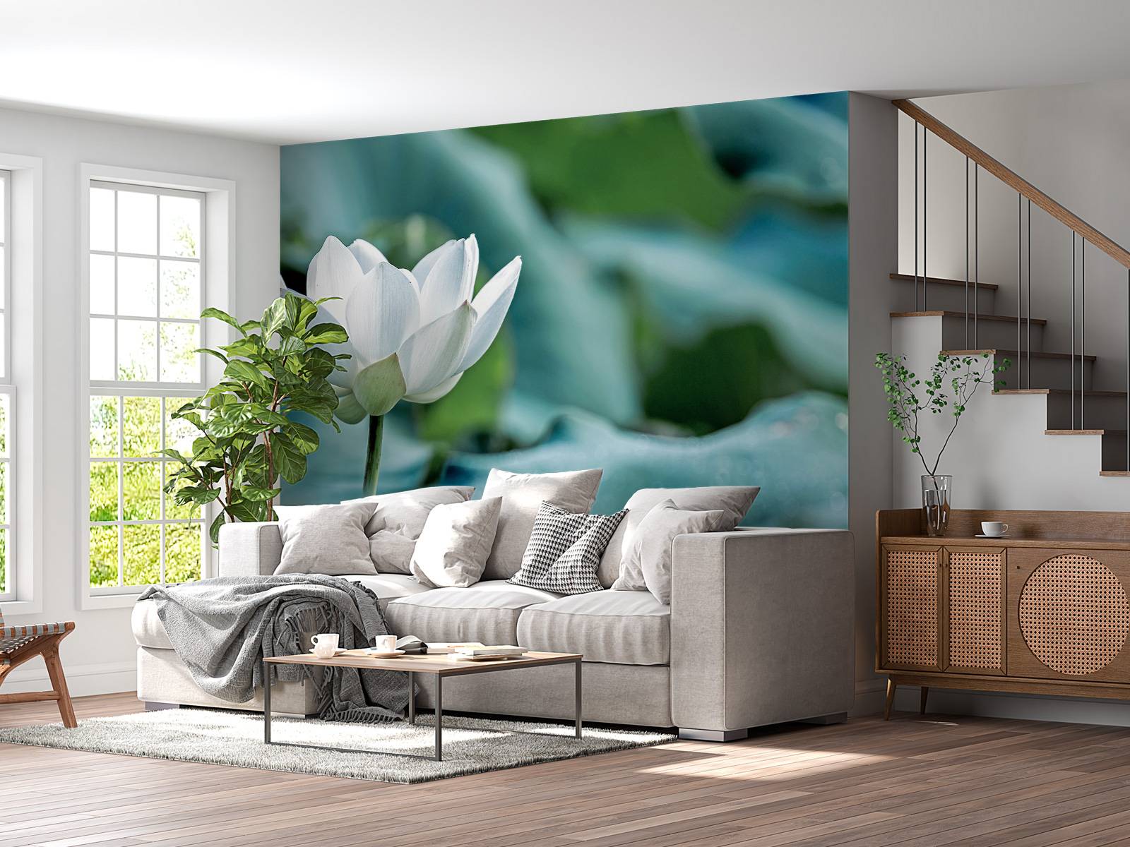 White lotus flower
