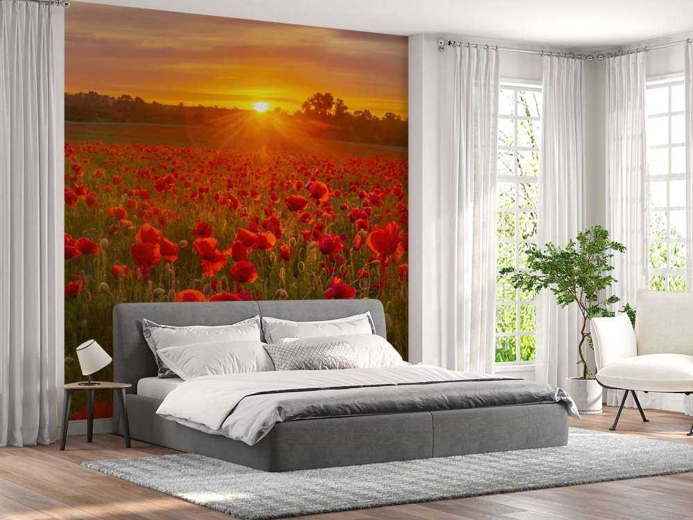 Flowering poppy field